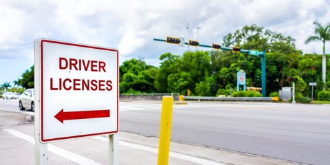 What Happens When: 15 days have passed, and my ticket still isn’t in the DMV system? Photo